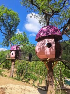 Arboricorde partenaire de la Forêt des champos à Valence