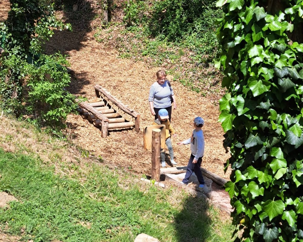 Arboricorde partenaire de la Forêt des champos à Valence