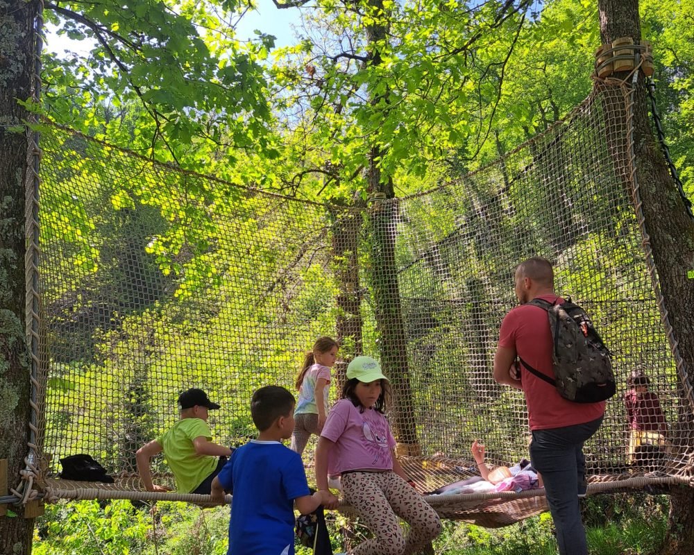 Arboricorde partenaire de la Forêt des champos à Valence