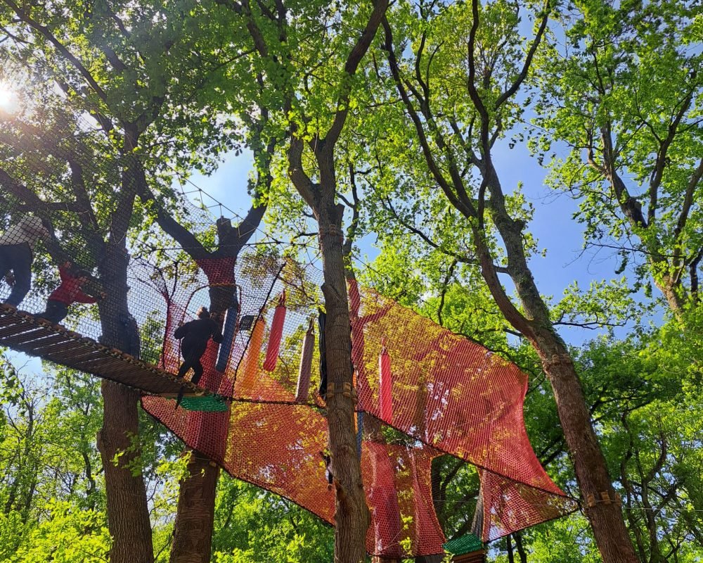 Arboricorde partenaire de la Forêt des champos à Valence