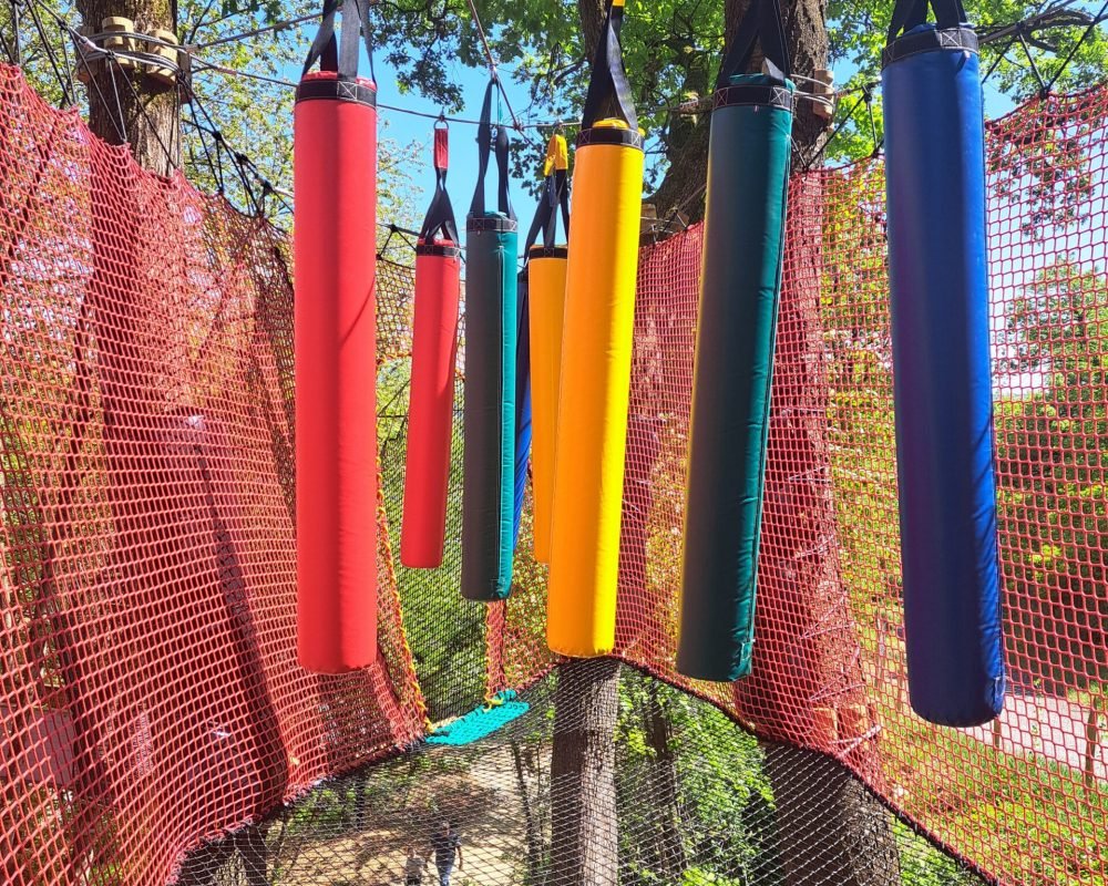 Arboricorde partenaire de la Forêt des champos à Valence